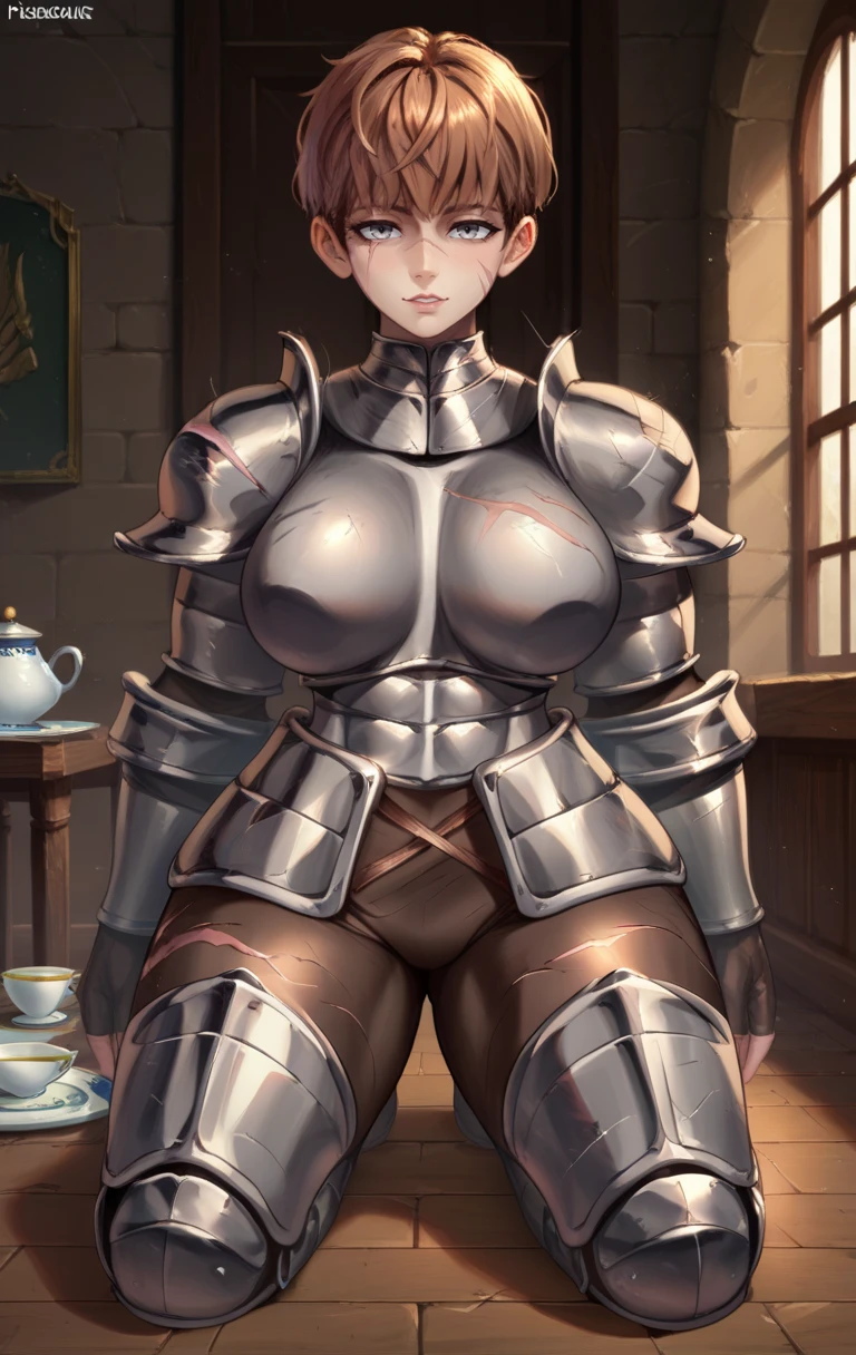 score_9,score_8_up,score_7_up BREAK <lora:darce:0.8>,darceSDXL,1girl,short hair,large breasts,brown hair,armor,grey eyes,scar,shoulder armor,gauntlets,scar on face,pauldrons,breastplate,faulds,plate armor,boobplate,room,room background,cowboy shot,kneeling,naughty face,