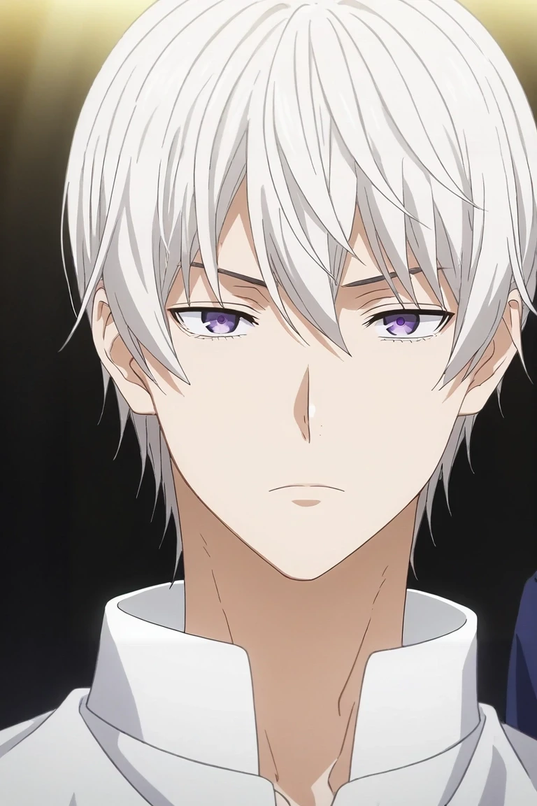 score_9, score_8_up, score_7_up, source_anime, rating_safe, intricate details, anime screencap, , official style, , , 1boy, solo, male focus, <lora:eishi_tsukasa_pony:0.9>, eishi_tsukasa, white hair, purple eyes, short hair, hair between eyes, , disco costume, <lora:sdxl_lightning_8step_lora:1>