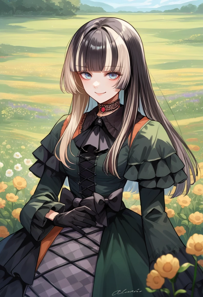 score_9, score_8_up, source_anime, 1girl, solo, RadenBase, black hair, multicolored hair, long hair, hime cut, choker, black ascot, multicolored dress, black dress, green dress, frills, black bow, waist bow, long sleeves, black gloves, outdoors, flower field, smile, <lora:ChamJuufuuteiRadenPonyXL:1>