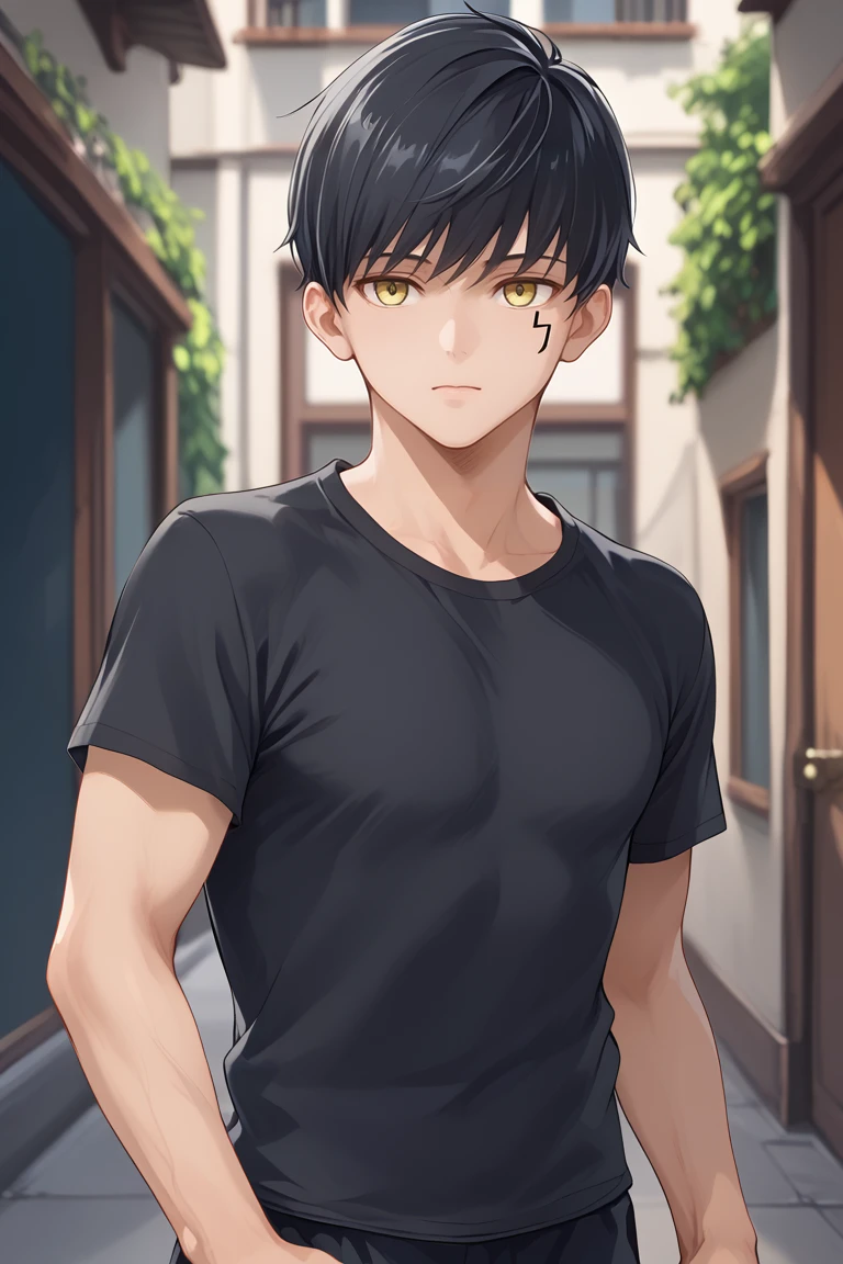 Score_9,score_8_up,score_7_up,Highly detailed, masterpiece, high quality, beautiful, high resolution, good details,1boy,solo,boy focus,mash burnedead, short hair, black hair, yellow eyes, facial mark, sports t-shirt tight black shirt, cowboy shot<lora:EMS-463933-EMS:0.800000>