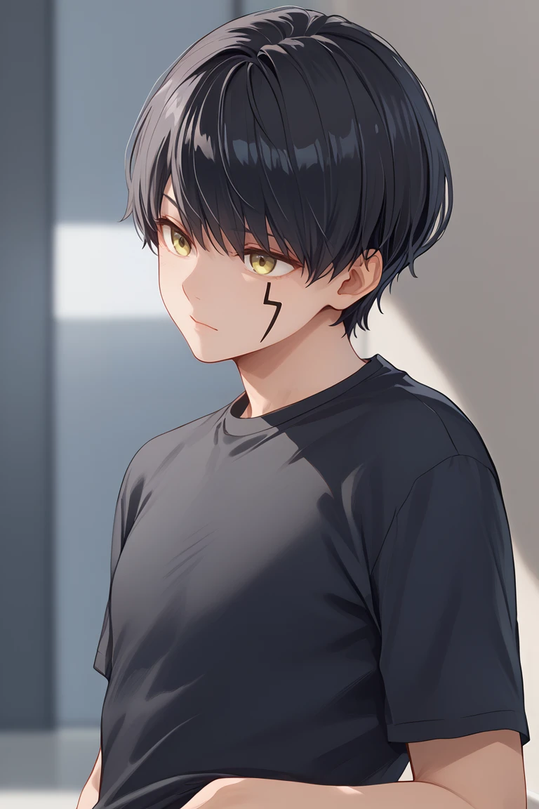 Score_9,score_8_up,score_7_up,Highly detailed, masterpiece, high quality, beautiful, high resolution, good details,1boy,solo,boy focus,mash burnedead, short hair, black hair, yellow eyes, facial mark, tight black shirt<lora:EMS-463933-EMS:0.800000>