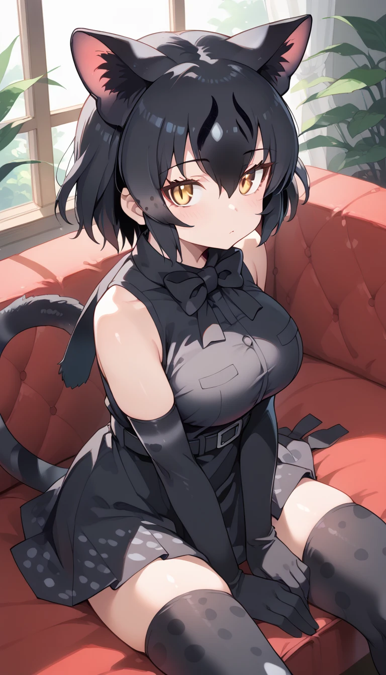 score_9, score_8_up, score_7_up, score_6_up, source_anime, rating_explicit BREAK 1girl, solo, <lora:black_serval_kf_pony_v1:1>, black serval \(kemono friends\), cat girl, cat tail, tail, cat ears, extra ears, animal ears, animal ear fluff, black hair, bangs, hair between eyes, yellow eyes, slit pupils, large breasts, default costume, sleeveless, sleeveless shirt, black shirt, bare shoulders, bow, bowtie, black bow, black bowtie, print bow, print bowtie, gloves, black gloves, print gloves, elbow gloves, skirt, black skirt, print skirt, belt, thighhighs, print legwear, blush, expressionless, looking at viewer, sitting, on couch, living room, dappled sunlight, indoors, <lora:age_slider_v4:2>