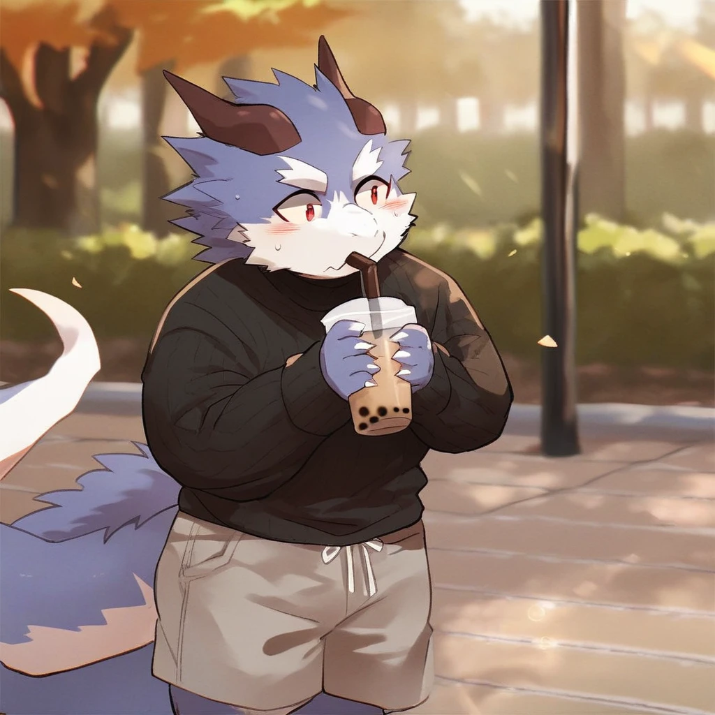 score_9_up, score_8_up, score_7_up, source_furry, rorondo4, 1boy, solo, black sweater, gray shorts, holding, bubble tea, park, furry, fluffy, dragon