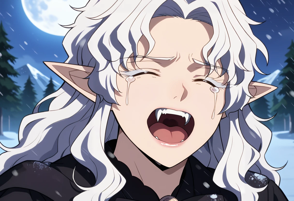 score_7_up, anime screencap,
<lora:SoloMaxLevelNewbie_OpheliaXL:0.9>, OpheliaSMLN,
1girl, solo, open mouth, fangs, crying, tears, close-up,
long hair, wavy hair, white hair, parted bangs, closed eyes, pointy ears,
black robe, brooch, mature,
looking at viewer, forest, moon,
blurry background, night, night sky, outdoors, snow, snowing, mountains