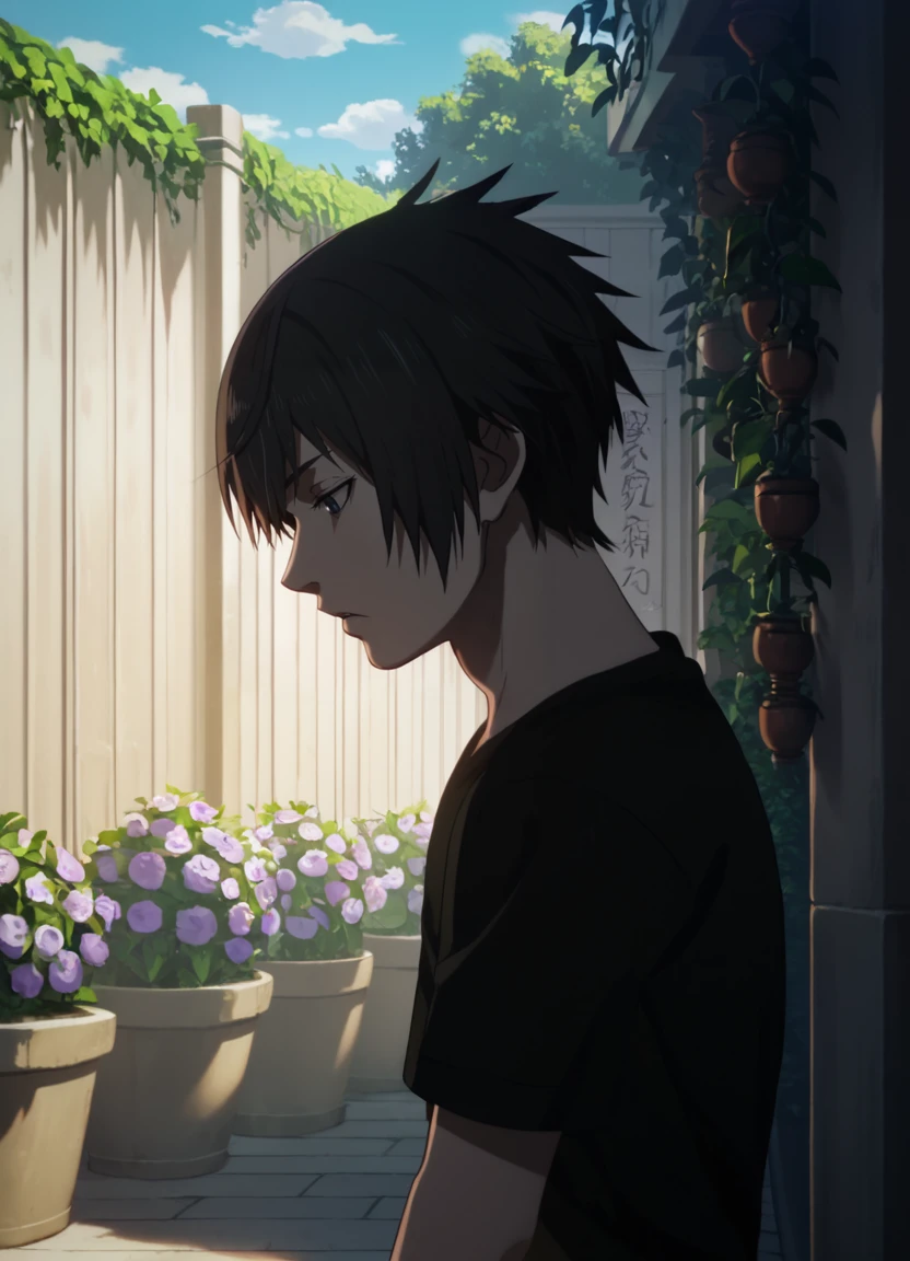 (score_9, score_8_up:1.1), score_7_up, official art, official wallpaper, <lora:Noctis_BH_(PonyXL):1>  noctisyoung, black shirt, 1boy, male focus, garden, upper body,