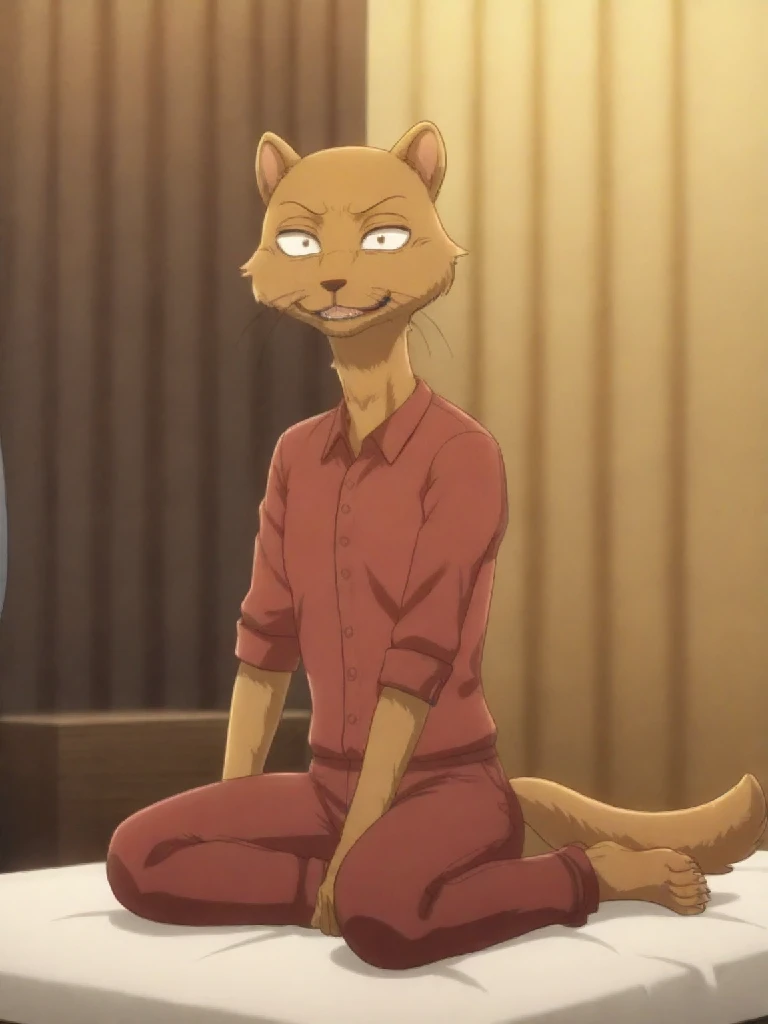 kaiBS, mongoose, anthro, looking at viewer, smirk, full body, narrowed eyes, inside, backstage, posing, curtains, source_anime, head tilt, tail, slim, slightly open mouth, red pants, red shirt