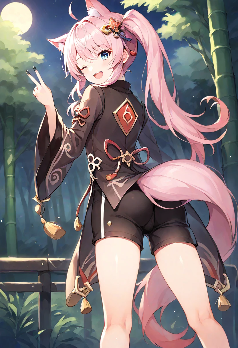 score_9,score_8_up,score_7_up,source_anime,masterpiece,best quality,game cg,1girl,solo,little_girl,night,bamboo forest,from behind,upper_body,<lora:hutaoclo:0.9>,taoclo,black chinese clothes,black shorts,shorts,short shorts,long sleeves,wide sleeves,black nail,(jewelry),howan_(show_by_rock!!),blue eyes,pink hair,ahoge,side ponytail,animal ears,tail,<lora:howanSB69:0.8>,smile,looking_at_viewer,wink,head_tilt,looking_back,v,legs_apart,hair ornament,