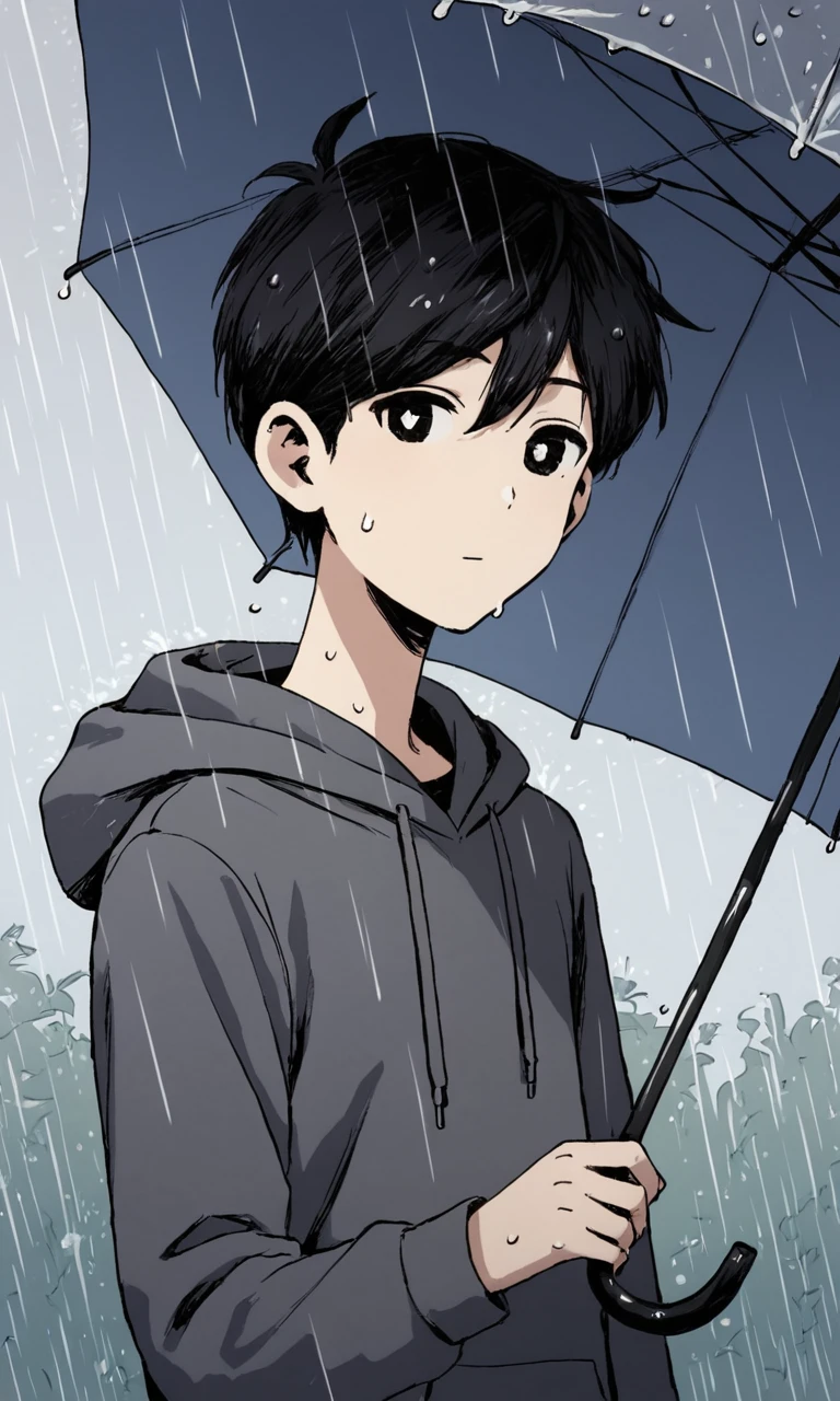 score_9, score_8_up, score_7_up, source_anime, anime illustration, masterpiece, best quality, lots of details, BREAK
1boy, solo, 18 years old, femboy:0.1, adult, sunnyomori, black hair, black eyes, looking at viewer, short hair, white pupils, raining, hoodie, hood down, holding umbrella