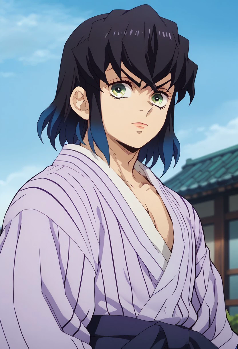 score_9, score_8_up, score_7_up, source_anime, rating_safe, InosukeDS, black-blue_Inosuke_hair, green_Inosuke_eyes, 1boy, male focus, anime screencap, purple_Inosuke_striped yukata