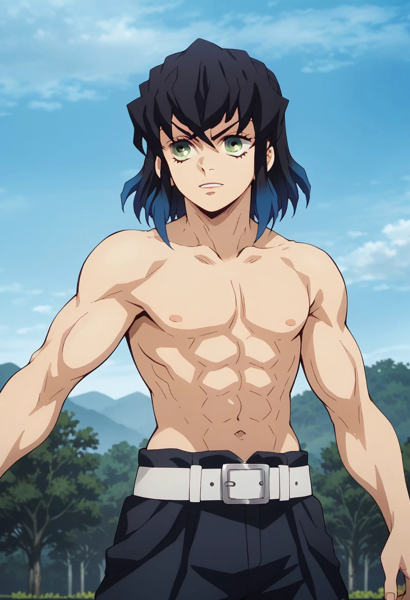 Score_9, score_8_up, score_7_up, source_anime, rating_safe, InosukeDS ...