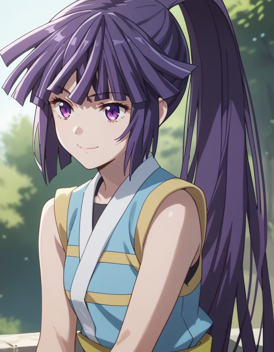 Akatsuki, very long hair, purple eyes, purple hair, high ponytail, bike shorts, sleeveless kimono, score_9, score_8_up, score_7_up, score_6_up, score_5_up, score_4_up, source_anime  <lora:LogHorizonDestructionoftheRoundTable:1> soft smile, portrait,