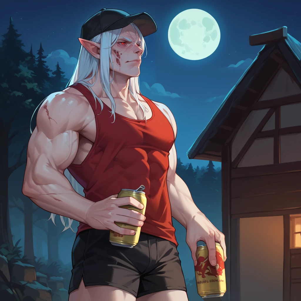 score_9, score_8_up, score_7_up, 2d,
VladvonCarstein, red eyes, white hair, handsome, pointy ears,
tank top, shorts, cap, holding can,
night, full moon,
<lora:VladvonCarstein:1>