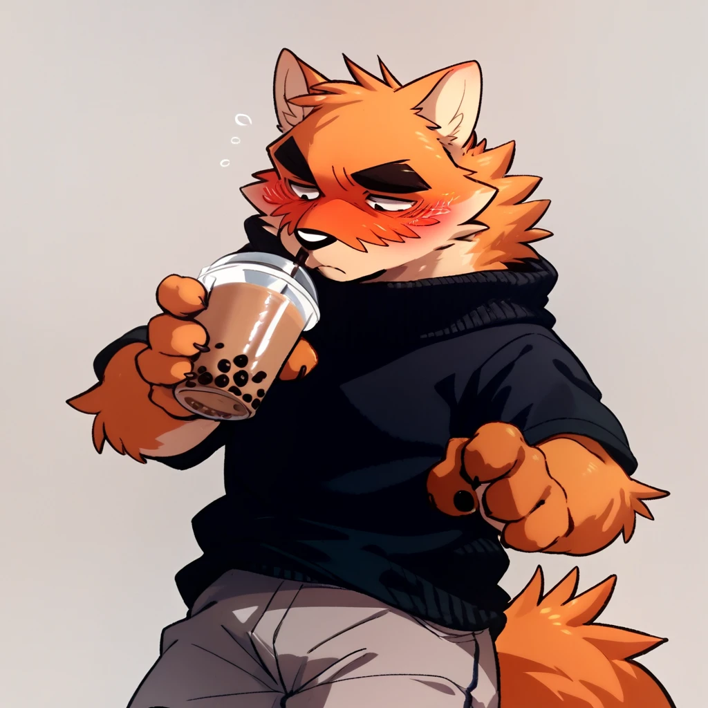 score_9_up, score_8_up, score_7_up, source_furry, takemoto_arashi-otake, black sweater, gray shorts, blush, shy, holding bubble tea, furry, orange fur,