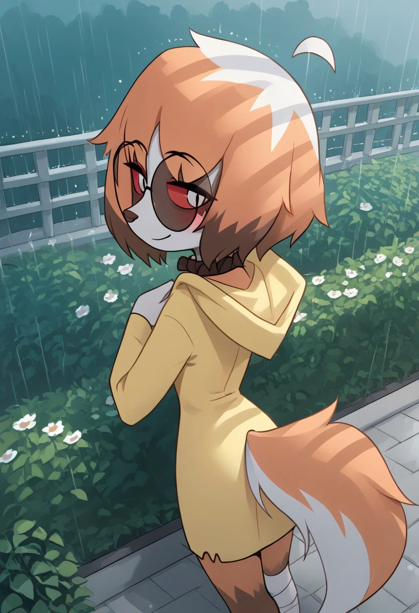 Expressiveh, score_9, score_8_up, score_7_up, score_6_up, score_5_up, best quality, high quality, good anatomy, realistic, high res, nice shading, nice angle, outdoor, 1girl, solo, sol, furry, animal ears, dog ears, tail, white tail, orange tail, ahoge, short hair, multicolored hair, orange hair, white hair, red eyes, white pupils, blush, skinny, petite body, cute face, sunglasses, round eyewear, hood, hood up, collar, bandaged legs, sad, smile, raining, garden, standing, flower, looking at flower, from behind