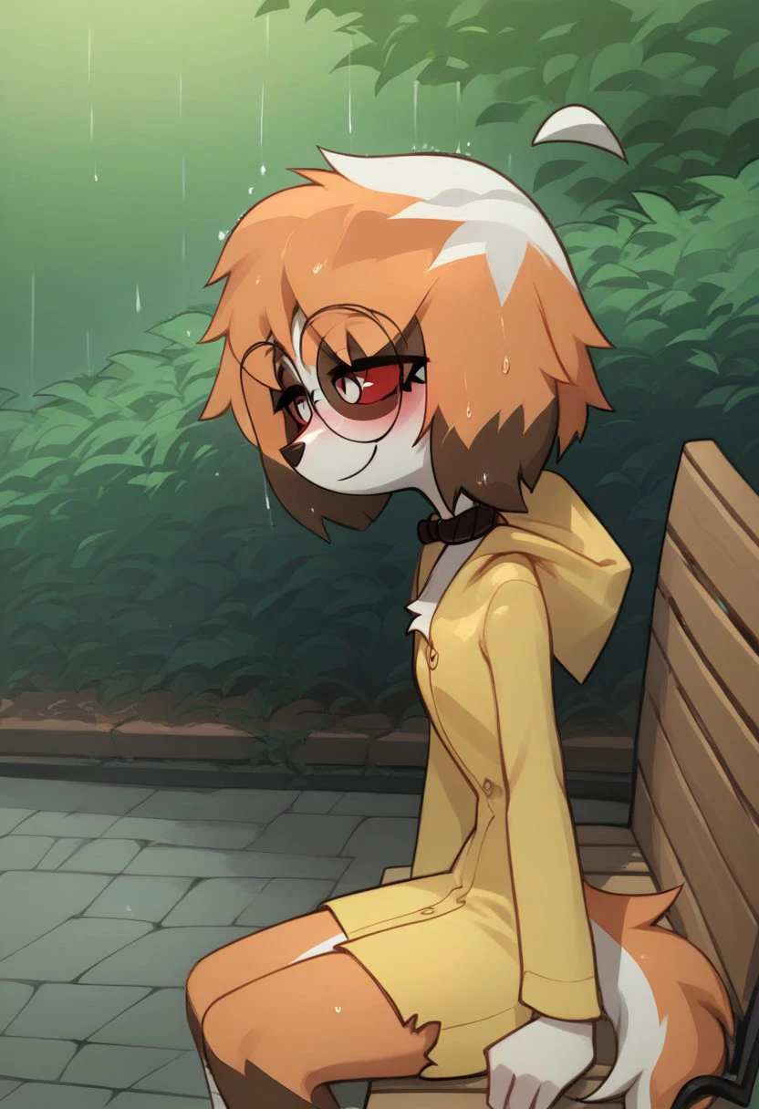 Expressiveh, score_9, score_8_up, score_7_up, score_6_up, score_5_up, best quality, high quality, good anatomy, realistic, high res, nice shading, nice angle, outdoor, 1girl, solo, sol, furry, animal ears, dog ears, tail, ahoge, short hair, multicolored hair, orange hair, white hair, red eyes, white pupils, blush, skinny, ite body, cute face, sunglasses, round eyewear, hood, hood up, collar, bandages, bandaged legs, sad, smile, raining, garden, sit on bench, bench, side view