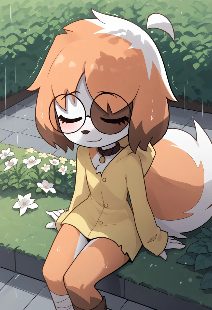 Expressiveh, score_9, score_8_up, score_7_up, score_6_up, score_5_up, best quality, high quality, good anatomy, high res, nice shading, nice angle, outdoor, 1girl, solo, sol, furry, animal ears, dog ears, tail, white tail, orange tail, ahoge, short hair, multicolored hair, orange hair, white hair, blush, skinny, cute face, sunglasses, round eyewear, hood, hood up, collar, bandaged legs, sad, smile, raining, garden, sit on face, flower, sleep, closed eyes