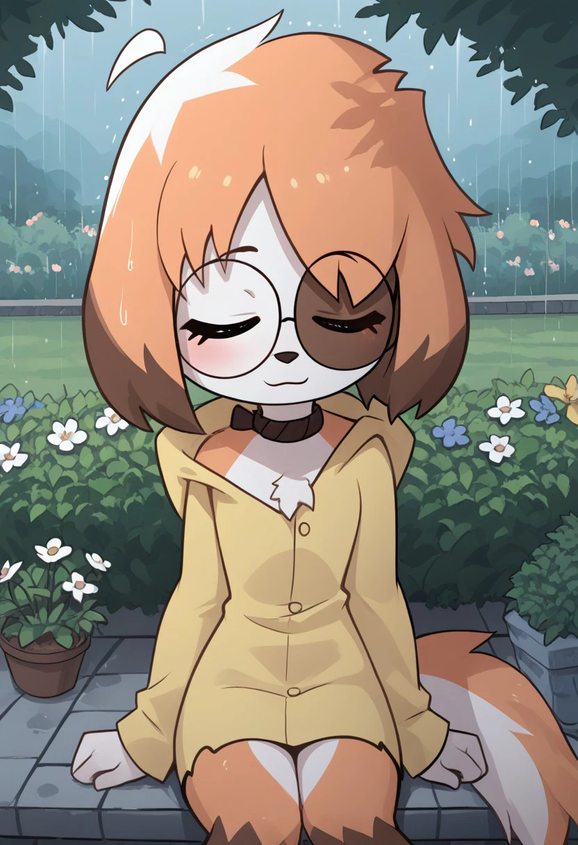 Expressiveh, score_9, score_8_up, score_7_up, score_6_up, score_5_up, best quality, high quality, good anatomy, high res, nice shading, nice angle, outdoor, 1girl, solo, sol, furry, animal ears, dog ears, tail, white tail, orange tail, ahoge, short hair, multicolored hair, orange hair, white hair, blush, skinny, cute face, sunglasses, round eyewear, hood, hood up, collar, bandaged legs, sad, smile, raining, garden, sit on face, flower, sleep, closed eyes