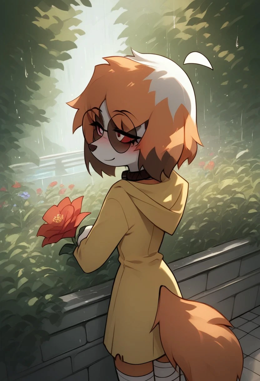 Expressiveh, score_9, score_8_up, score_7_up, score_6_up, score_5_up, best quality, high quality, good anatomy, realistic, high res, nice shading, nice angle, outdoor, 1girl, solo, sol, furry, animal ears, dog ears, tail, ahoge, short hair, multicolored hair, orange hair, white hair, red eyes, white pupils, blush, skinny, petite body, cute face, sunglasses, round eyewear, hood, hood up, collar, bandaged legs, sad, smile, raining, garden, standing around flower, flower, looking at flower, picking a flower, from behind