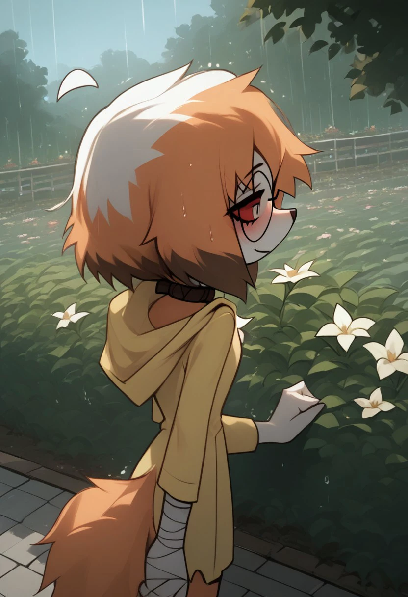 Expressiveh, score_9, score_8_up, score_7_up, score_6_up, score_5_up, best quality, high quality, good anatomy, realistic, high res, nice shading, nice angle, outdoor, 1girl, solo, sol, furry, animal ears, dog ears, tail, ahoge, short hair, multicolored hair, orange hair, white hair, red eyes, white pupils, blush, skinny, petite body, cute face, sunglasses, round eyewear, hood, hood up, collar, bandages, bandaged legs, sad, smile, raining, garden, standing around flower, flower, looking at sky, from behind