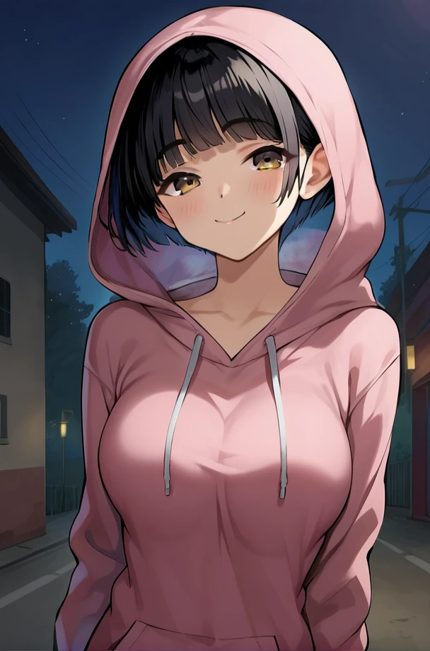 solo, 1girl, female, aoi ikusaba, large breast, black hair, brown eyes, short hair, bangs, blunt bangs, hair over eyes, blush, black kneehighs, school shoes, naughty face, BREAK hoodie, hood up, sleeves past wrists, socks, BREAK outdoors, night, streets, colorful, looking at viewer, portrait, BREAK ((ultra-detailed)), ((best quality)), ((best quality)), ((beautiful eyes)), ((extremely detailed)), 4K, (8K), best quality, (beautiful), Master piece, highres, score_9, score_8_up, score_7_up, score_6_up, score_5_up, score_4_up, colorful, best quality, official art, highres, masterpiece, nai3, god light, detailed background, high quality background,<lora:Aoi_Ikusaba_Ichinengo_Ore_no_Ko_o_Haramu_Imouto_no_Kiroku:0.9>