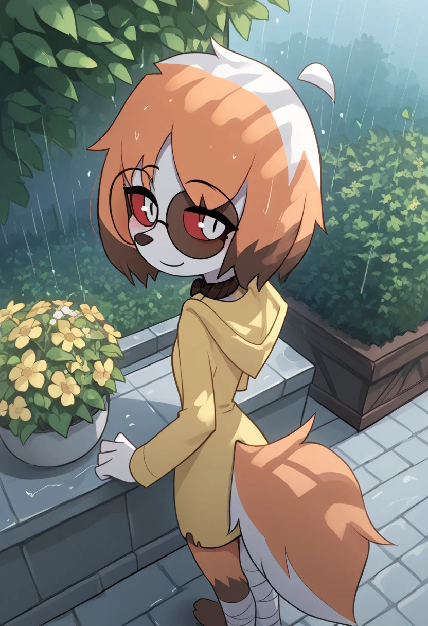 Expressiveh, score_9, score_8_up, score_7_up, score_6_up, score_5_up, best quality, high quality, good anatomy, realistic, high res, nice shading, nice angle, outdoor, 1girl, solo, sol, furry, animal ears, dog ears, tail, white tail, orange tail, ahoge, short hair, multicolored hair, orange hair, white hair, red eyes, white pupils, blush, skinny, petite body, cute face, sunglasses, round eyewear, hood, hood up, collar, bandaged legs, sad, smile, raining, garden, standing, flower, looking at flower, from behind