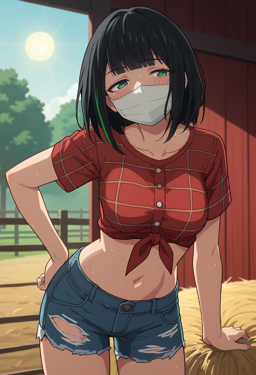 score_9, score_8_up, score_7_up, anime screencap, source_anime, 1girl, solo,
<lora:Hass_SSSS.Gridman_V2:.85>, KJOHass, black hair, streaked hair, blunt bangs, green eyes, medium hair, mouth mask, half closed eyes,
flannel t-shirt, tied shirt, denim shorts, torn pants, navel,
hand on own hip, leaning forward, head tilt, blush, sweat, smile,
farm, red barn in background, hay bale, outdoors, sun,
(Beautiful, medium Breasts:1.2), natural breasts,