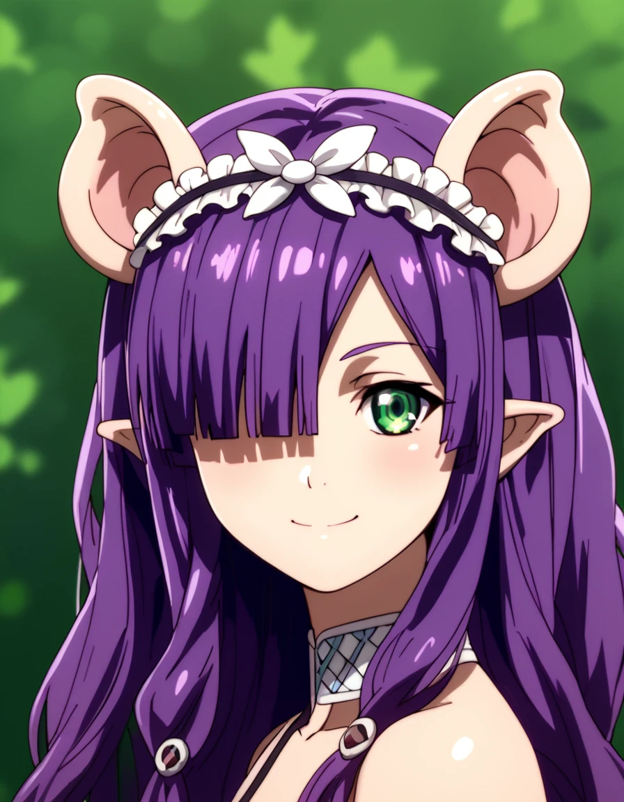 score_9, score_8_up, score_7_up, score_6_up, score_5_up, score_4_up, source_anime  <lora:PeterGrillPhilosophersTime:1>, soft smile, portrait Piglette, very long hair, purple hair, hair ornament, pointy ears, hair over one eye, green eyes, tail,