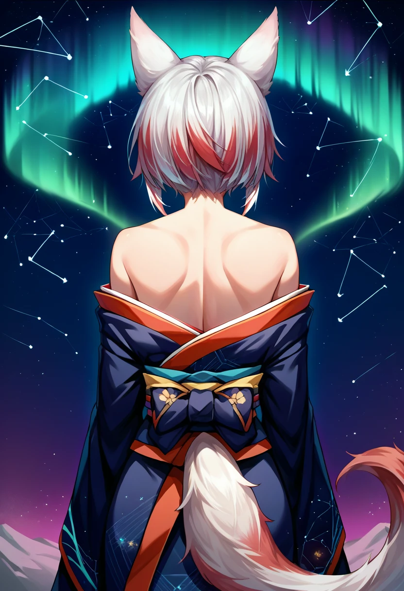 score_9, score_8_up, source_anime, 1girl, solo, KohakuSyusetsu, multicolored hair, animal ears, tail, short hair, aurora, back, bare back, bare shoulders, constellation, from behind, kimono, light particles, long sleeves, off shoulder, <lora:ChamKohakuSyusetsuPonyXL:1>