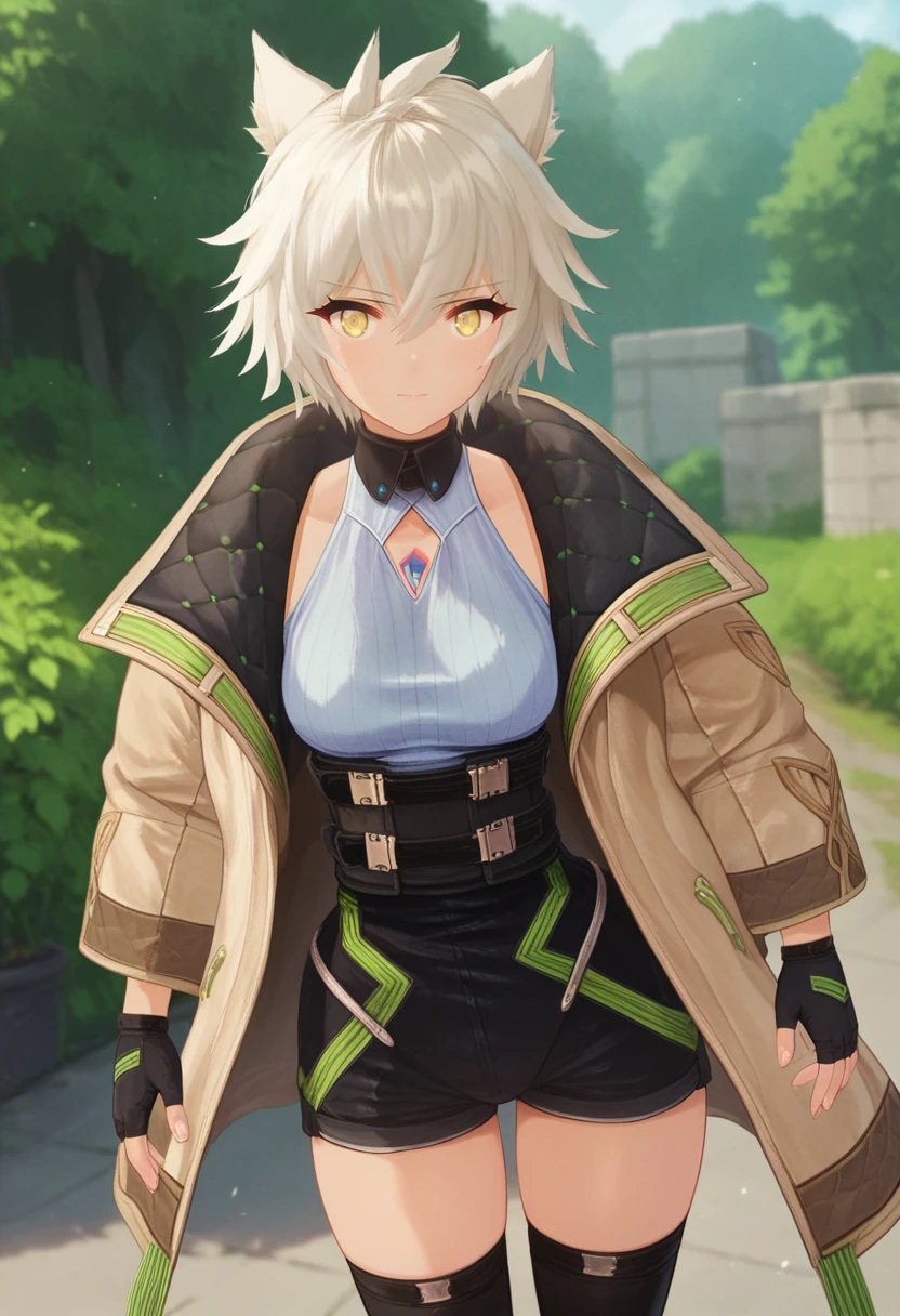 score_9, score_8_up, score_7_up, 1girl, solo, casual, tan coat, ribbed shirt, corset, high-waist shorts, black thighhighs, chest jewel, pale yellow eyes, fingerless gloves, messy hair, na'el, outdoors <lora:nael xl 086:1>