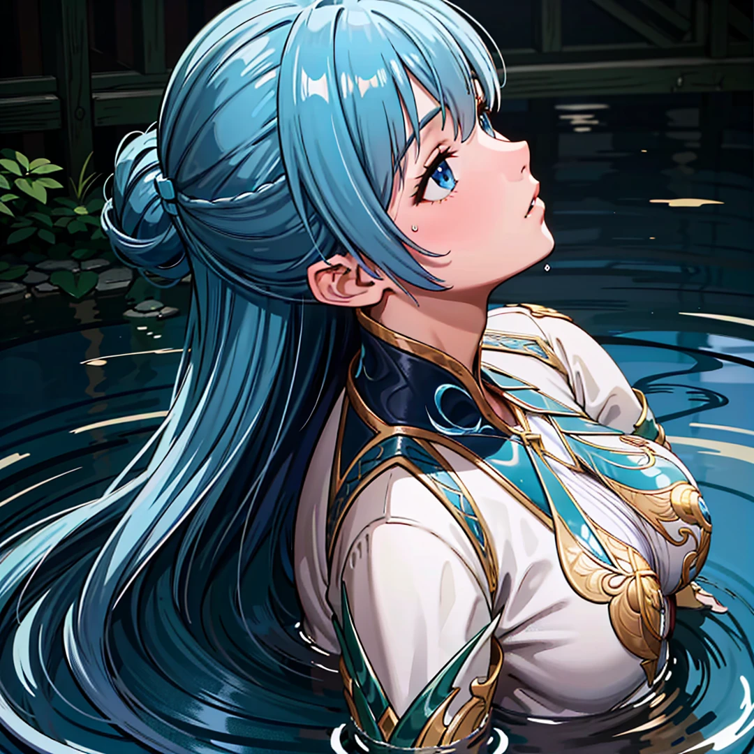 1girl,solo,long hair,blue hair,blue eyes,parted lips,half updo,dress,outdoors,looking up,from side,((in_water)),Highly detailed,(ultra-detailed),(best quality,masterpiece:1.5),<lora:dldl-wangqiuer:0.6>,