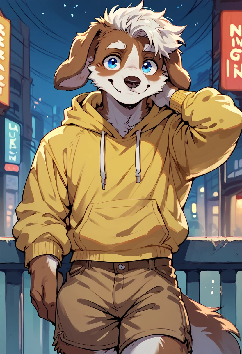 score_9, score_8_up, score_7_up, high quality, hires, michi, d0g, furry, white muzzle, blue eyes, white hair, floppy ears, yellow hoodie, brown shorts, smile, looking at viewer, night city, <lora:Michi_OC:1>