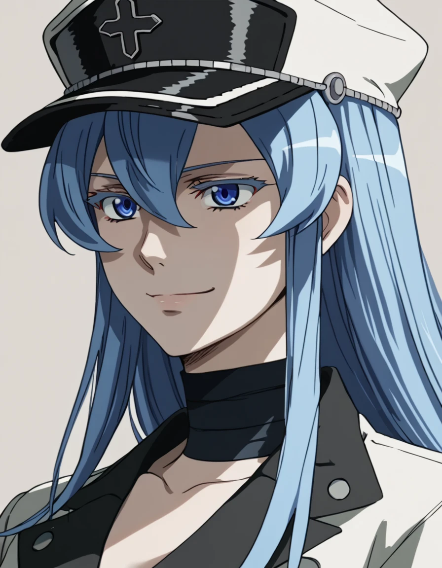 score_9, score_8_up, score_7_up, score_6_up, score_5_up, score_4_up, source_anime  <lora:AkamegaKill:1>, wide shot, soft smile Esdeath, blue eyes, very long hair, blue hair, military uniform,