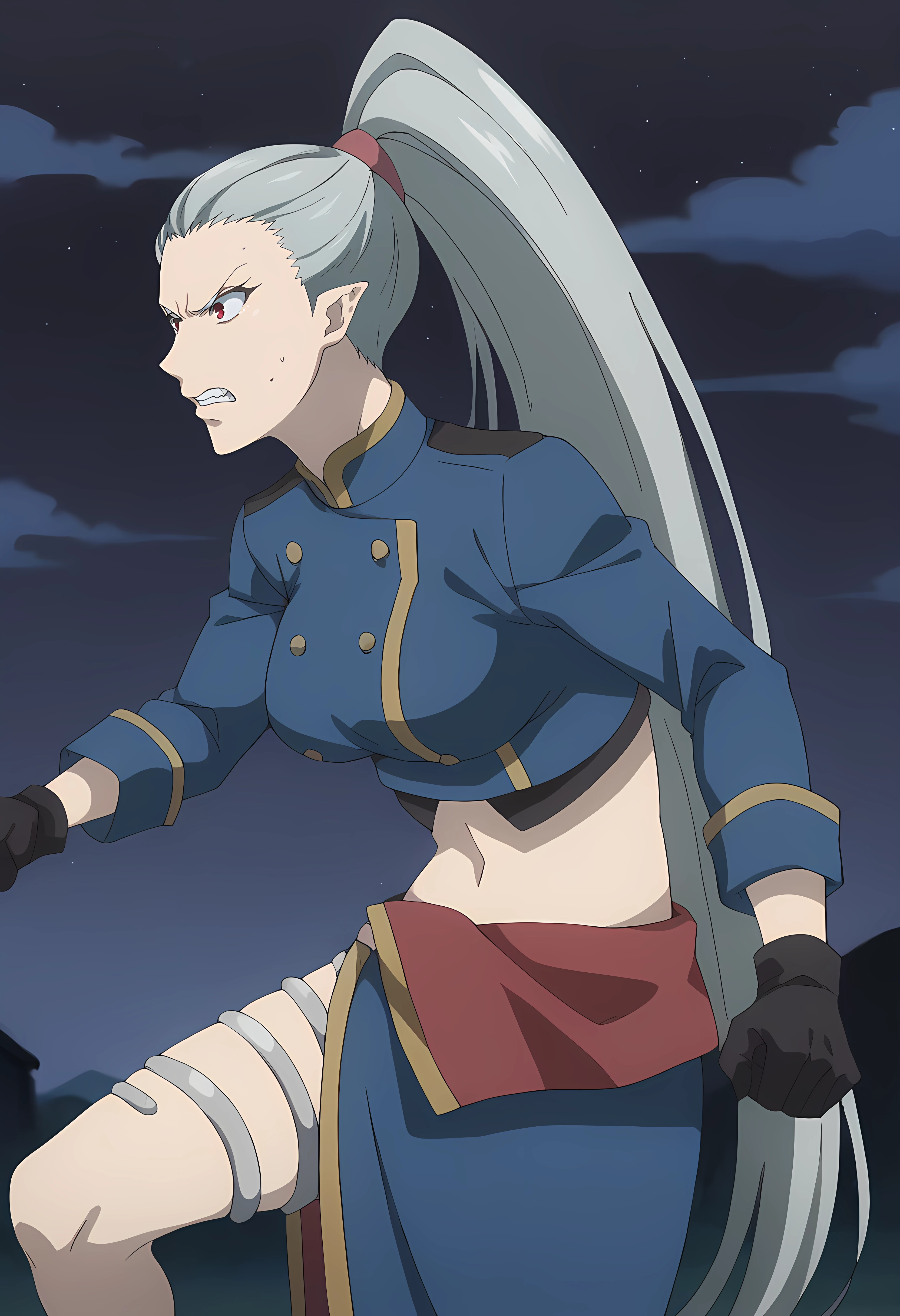 score_9, score_8_up, score_7_up, source_anime, outdoors, town, night, starry sky,
1girl, solo, very long hair, grey hair, ponytail, red eyes, pointy ears, large breasts, angry, focused, sweatdrop, single earring,
uniform, long skirt, side slit, blue skirt, blue crop top, midriff, gloves, black gloves, thigh jewelry, long sleeves, 
standing, from side , fighting stance,
 <lora:Detail Slider:1.3> <lora:Rose (Kemonomichi):1>