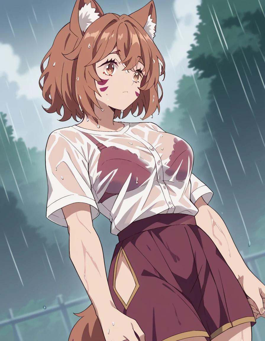 score_9, score_8_up, score_7_up, source_anime, <lora:farming-isekai-senna-s1-ponyxl-lora-nochekaiser:1>, senna, short hair, brown hair, animal ears, brown eyes, cat ears, facial mark, large breasts,, <lora:bra-visible-through-clothes-ponyxl-lora-nochekaiser:1>, bra visible through clothes, wet shirt, wet clothes, see-through, see-through shirt, bra, bralines, wet, white shirt, bra peek, wet skirt,, outdoors, rain, cloudy, , cowboy shot, dutch angle