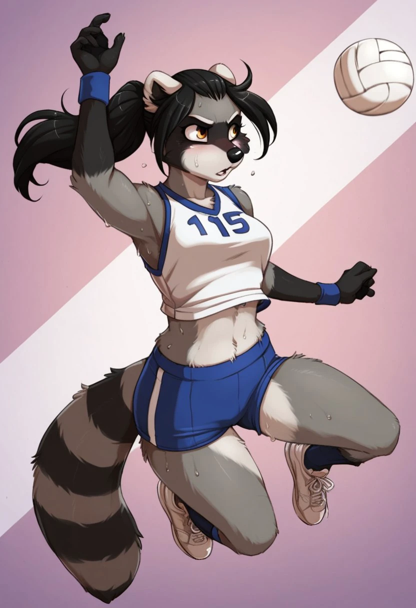 score_9, score_8_up, score_7_up, score_6_up, score_5_up, score_4_up, jay naylor, furry, raccoon, solo, brooke reed, female, tail, sweat, shorts, blue shorts, tail, black hair, ponytail, grey fur, midriff, amber eyes, action shot, playing volleyball, jumping, full body, shoes, school gym, detailed background, intense expression, white volleyball