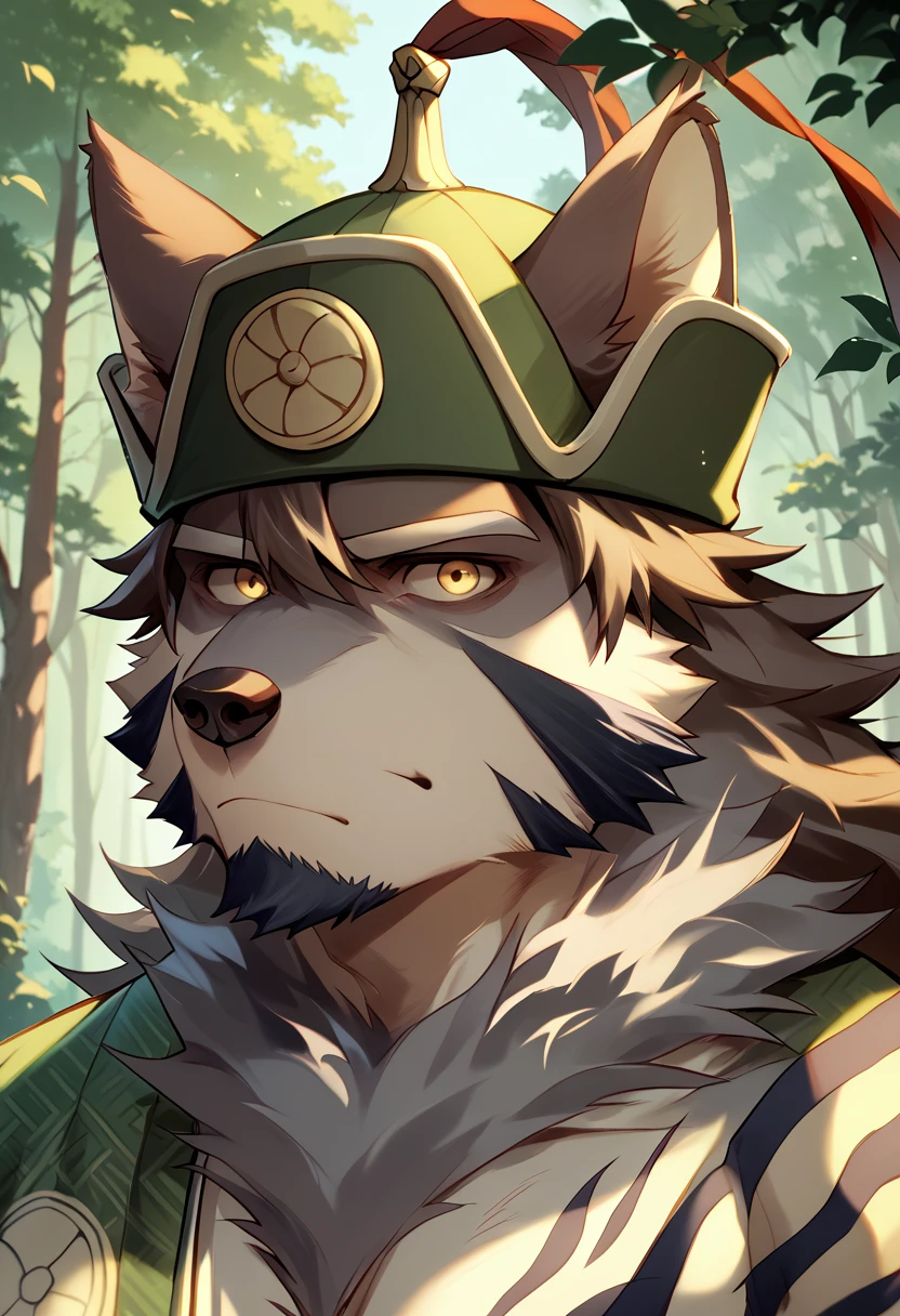 score_9, score_8_up, score_7_up, high quality, hires, temujin, housamo, tokyo afterschool summoners, furry, wolf boy, yellow eyes, goatee, japanese clothes, green kimono, upper body, forest, detailed background, <lora:Temujin_TAS_Housamo:1>, <lora:add-detail-xl:1>, looking at viewer