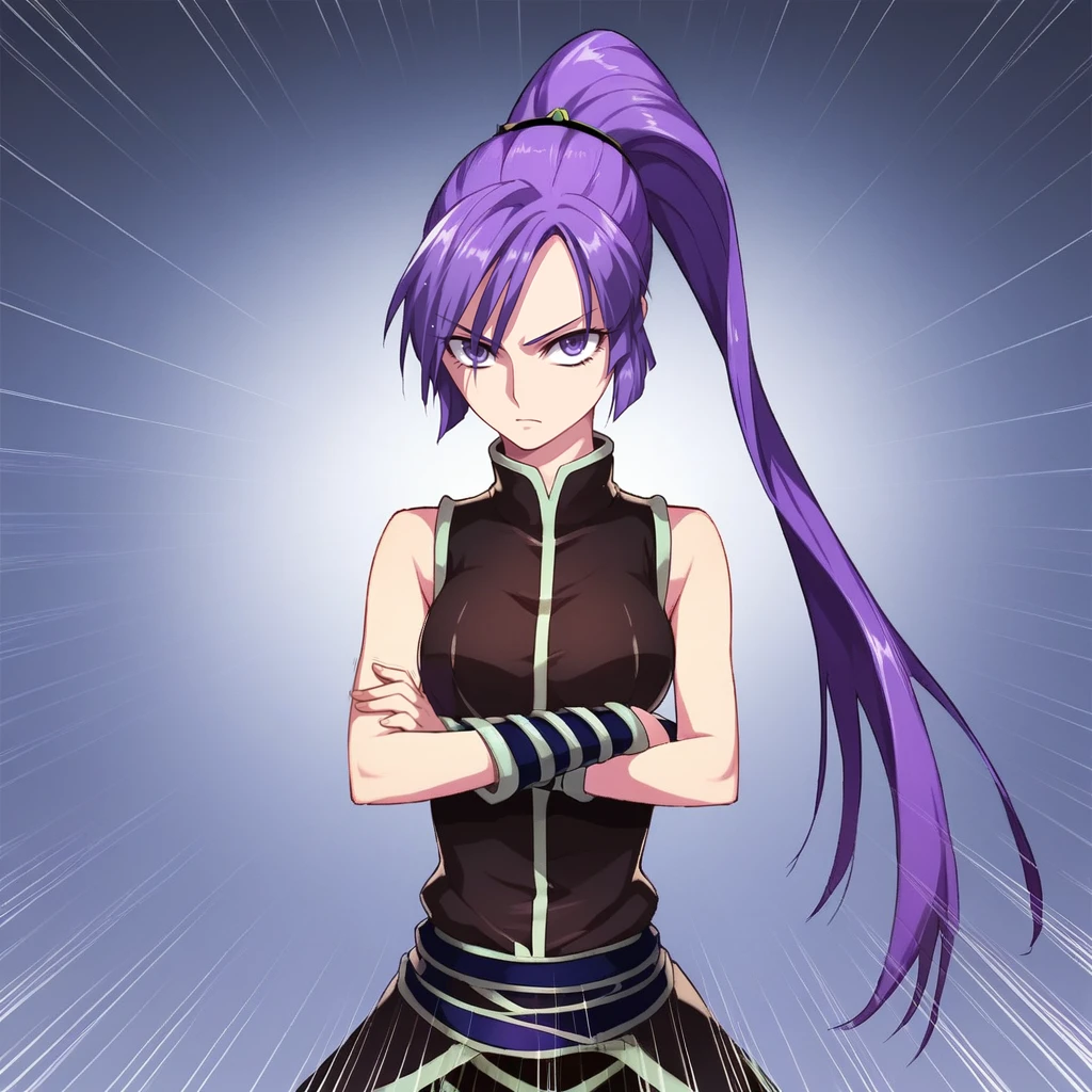 score_9_up, score_8_up, BREAK, MissLei, 1girl, solo,  purple hair, ponytail, long hair, purple eyes, armor, sleeveless, cowboy shot, <lora:MissLei_MagicEmperor_PXL_Leaf1:0.8>, gradient background, light particles, speed lines, crossed arms,