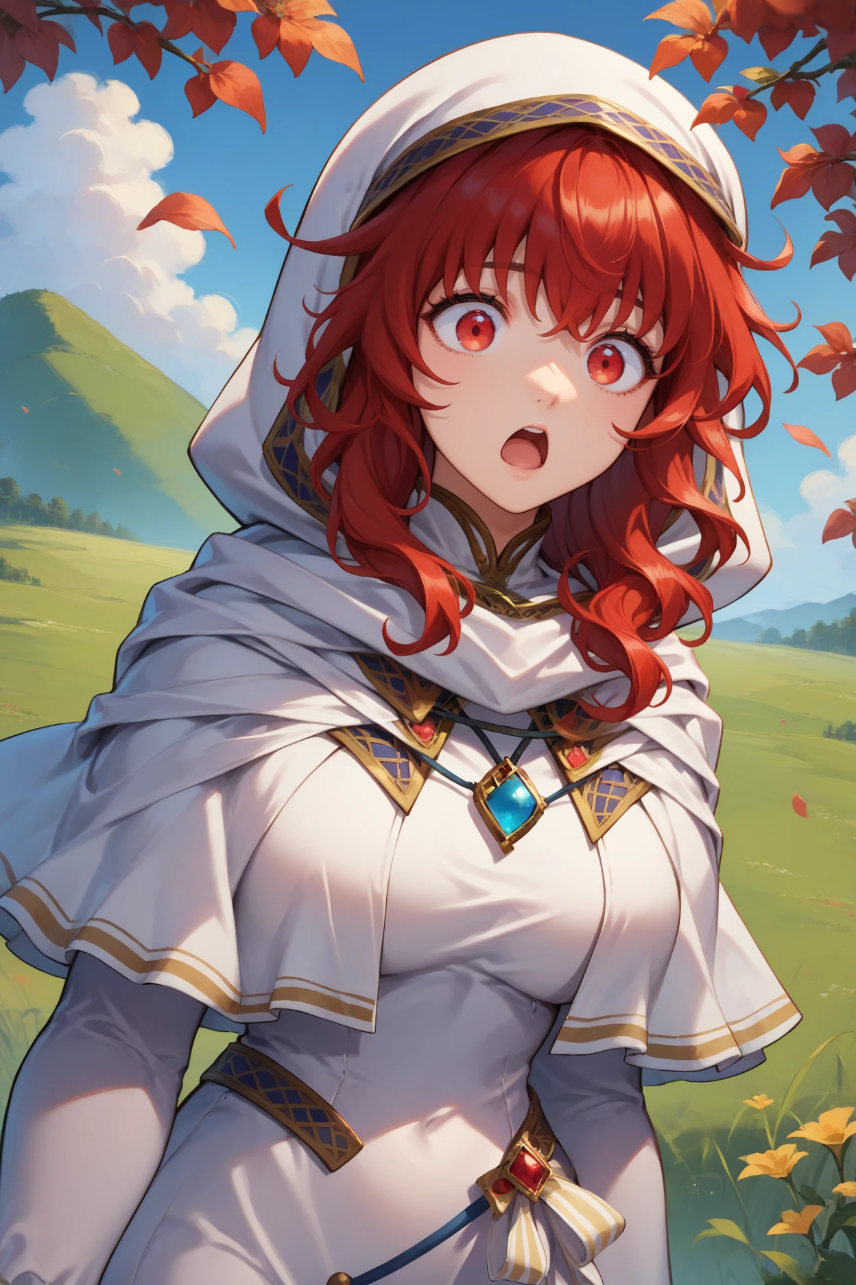 score_9, score_8_up, score_7_up, score_6_up, source_anime, 1girl, solo,  <lora:felena-pdxl-nvwls-v1-000004:1> feLena, red hair, long hair, red eyes, hood up, white robes, white capelet, long sleeves, pendant, long dress, upper body, big breasts, surprised, looking at you, open mouth, blue sky, field