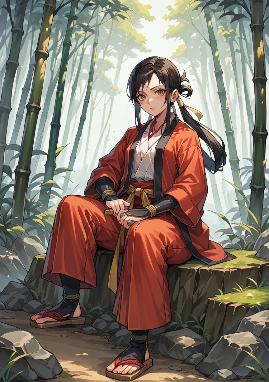 1girl, long hair, black hair, hair rings, japanese clothes, long sleeves, white shirt, red jacket, sash, hakama, gauntlets, outdoors, sitting, rock, sandals, tabim holding sword, katana, bamboo forest, looking at viewer  <lora:Hibiki_Last_Blade:0.8>, score_9, score_8_up, score_7_up, score_6_up, score_5_up, score_4_up, BREAK source_anime, masterpiece