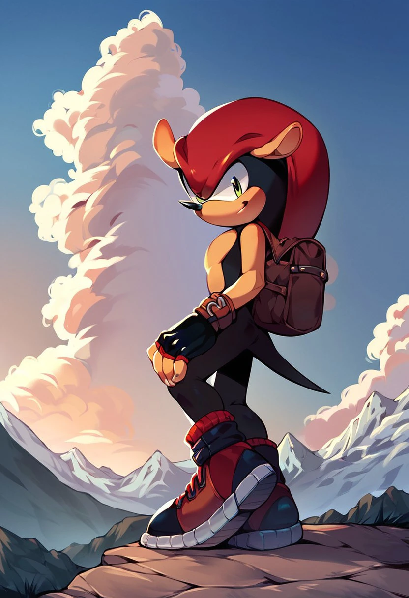 score_9, score_8_up, score_7_up, score_6_up, Mighty the Armadillo, male, solo, fingerless gloves, shoes, mountains, bag, clouds, trail