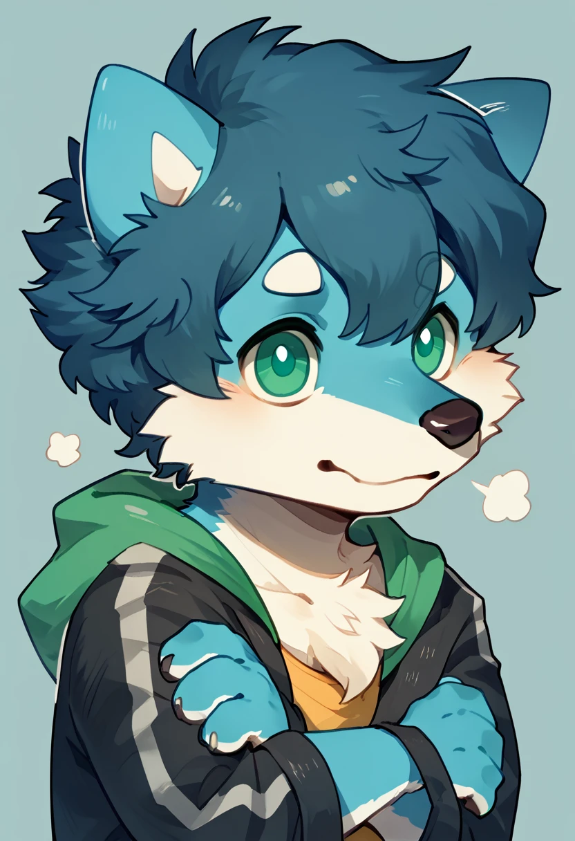 score_9, score_8_up, score_7_up, high quality, hires, solo, minty, mintelon_dog_oc, mintealon, furry, solo, blue fur, short hair, green eyes, dog boy, cute, chibi:1.35, <lora:Minty_Dog_Mintealon_OC:1>