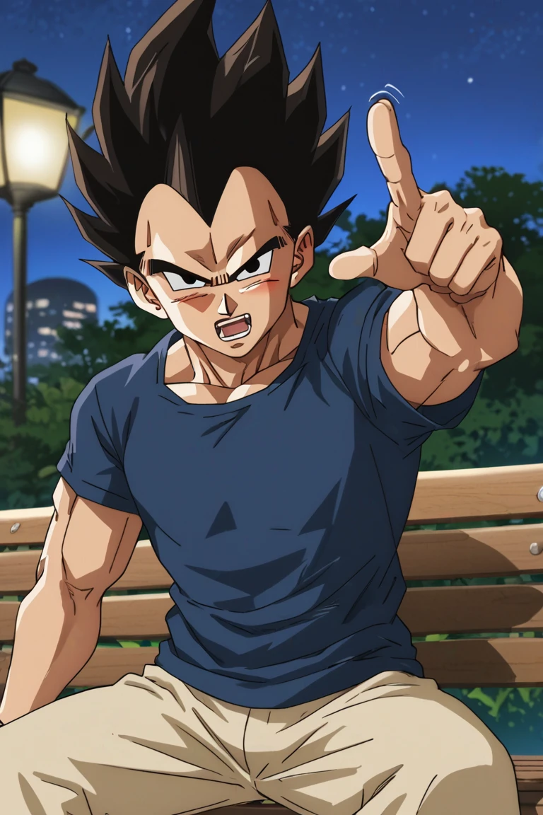 score_9, score_8_up, score_7_up, source_anime, rating_safe, night, male focus, pointing, vegeta, black_Vegeta_spiked hair, black_Vegeta_eyes, casual clothes, sitting, drunk, blushing, open mouth, angry, 1boy, anime screencap, hands with five fingers, looking down at viewer, blurry outdoors park, bench, from below, fidgetting, motion lines