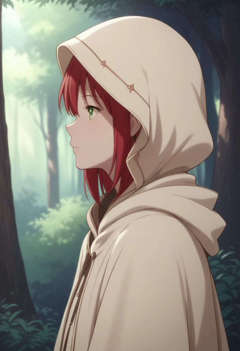 score_9, score_8_up, score_7_up, source_anime, highly detailed, 
shirayuki, 1girl, solo, hood, red hair, forest, green eyes, nature, cloak, hood up, profile, tree, hooded cloak,
parody, from side, outdoors,