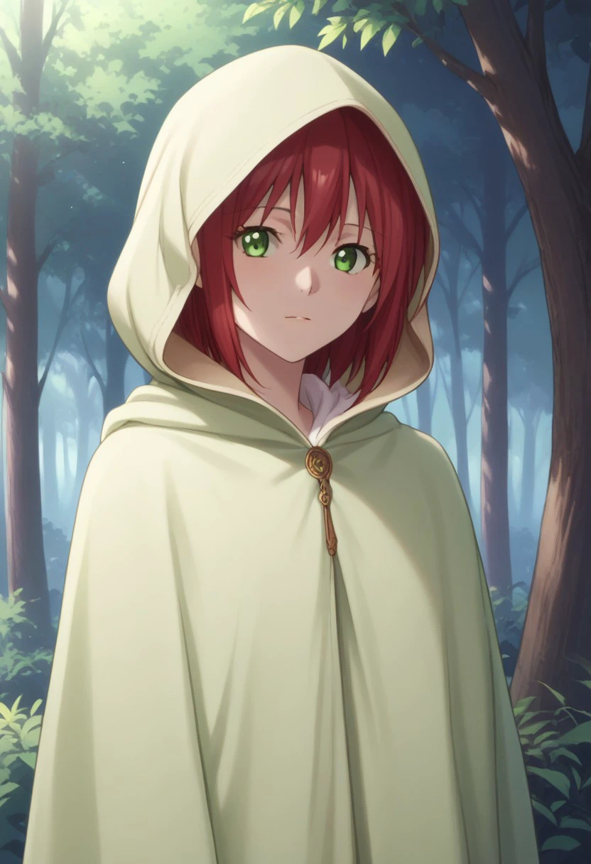 score_9, score_8_up, score_7_up, source_anime, highly detailed, 
shirayuki, 1girl, solo, hood, red hair, forest, green eyes, nature, cloak, hood up, looking at viewer, tree, hooded cloak,
outdoors,