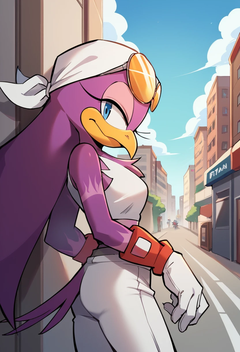 <lora:Wave-05:1> wave, gloves, eyewear on head, animal nose, bird beak, , furry female, purple hair, sunglasses, tinted eyewear, blue eyes, white pants, white top, white bandana, street, city, short top, score_9, score_8_up, score_7_up, source_anime,