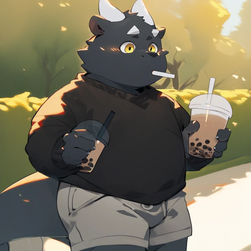 score_9_up, score_8_up, score_7_up, source_furry, mikus-Tongmung24, black dragon, black body, white horns, yellow eyes, park, holding, bubble tea, black sweater, gray shorts, 1boy, solo