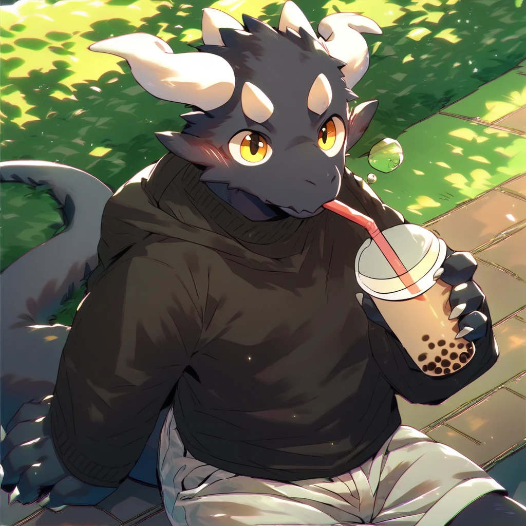 score_9_up, score_8_up, score_7_up, source_furry, mikus-M0fuch4, black dragon, black body, white horns, yellow eyes, park, holding, bubble tea, black sweater, gray shorts, 1boy, solo