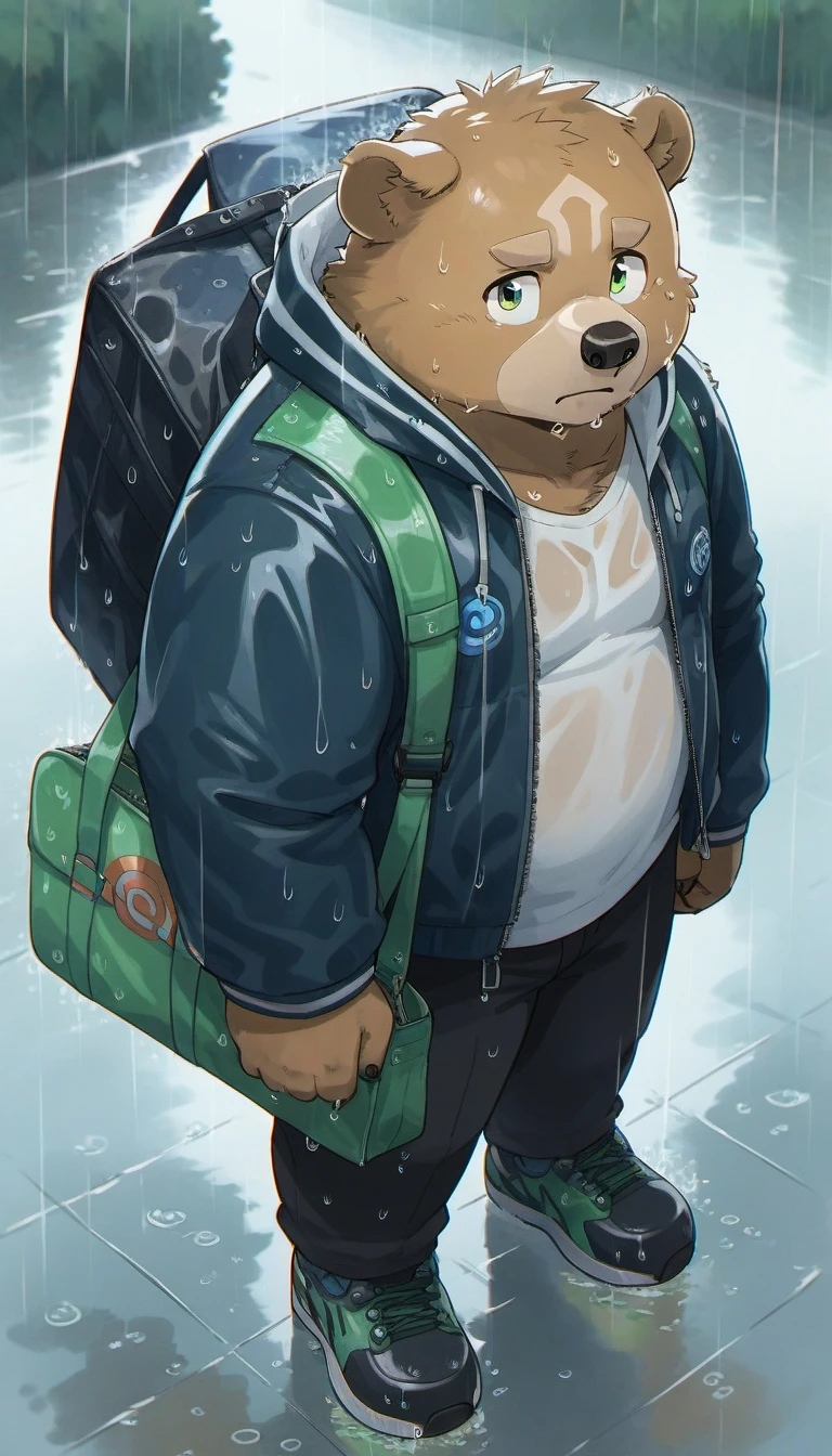 gabu,furry,green eyes,bear boy,bear ears,<lora:Gabu-000024:0.8>,<lora:PerfectEyesXL:0.4>,perfecteyes,solo,looking at viewer,shoes,rain,animal ears,jacket,bag,white shirt,shirt,outdoors,standing,score_9,score_furry,looking up,wet,spiritless,hood,sad,
