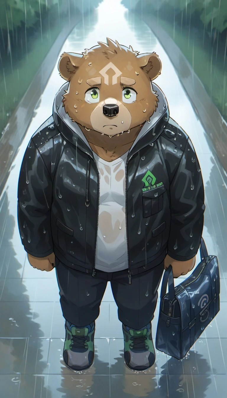 gabu,furry,green eyes,bear boy,bear ears,<lora:Gabu-000024:0.8>,<lora:PerfectEyesXL:0.4>,perfecteyes,solo,looking at viewer,shoes,black jacket,rain,animal ears,jacket,bag,white shirt,shirt,outdoors,standing,score_9,score_furry,looking up,wet,spiritless,hood,sad,
