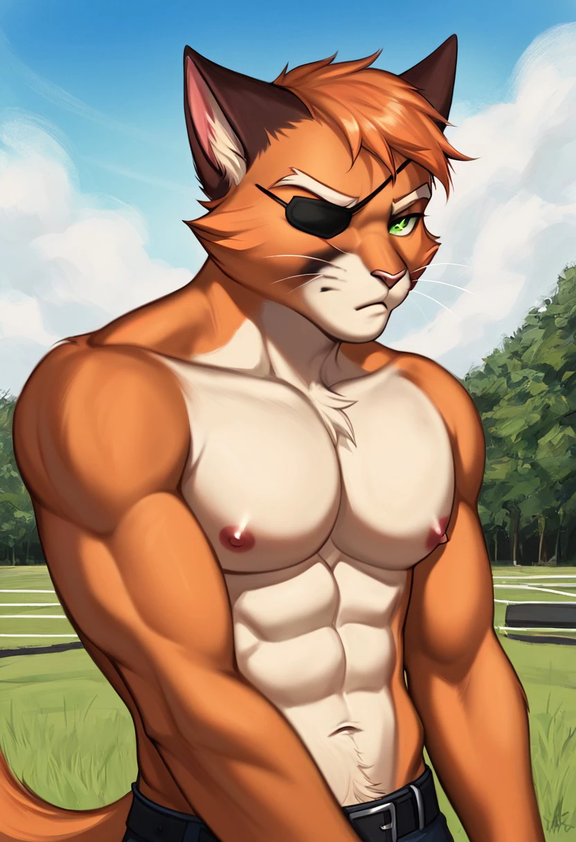 Viktor[lackadaisy], Viktor Vasko[lackadaisy], eyepatch, orange fur, orange body, yellow pattern, cream pattern, 1920s styled clothing, stripes, green eyes, large eyebrows, eyebrows, yellow eyebrows, eyepatch over left eye, yellow belly (male anthro cat:1.3). 
Solo, alone, by himself, 1boy, male.
athletic, athletic body, muscles. (athletic body), (orange body:1.1),
topless, shirtless
HD, digital painting, digital art, masterpiece.
Headshot, head focus, close to face, closeup, bustshot.
grumpy emotion, grumpy. 
Outside, battlefield, ww1. (outside:1.1) 
HD, digital painting, digital art, masterpiece ((headshot)), digital drawing (artwork), digital media (artwork), hi res.  negative_hand.  PLNA[Style], Art by PLNA[Style], furry, furry art, cartoon like, bara style, bara, anthro,